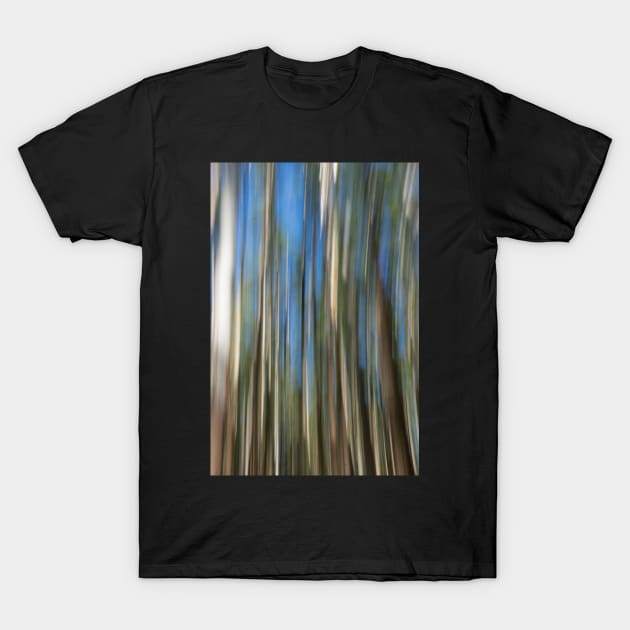 blurred trees T-Shirt by sma1050